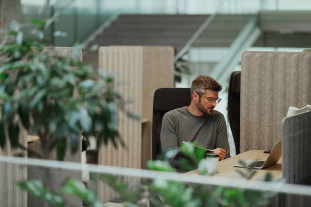 Focus & Productivity